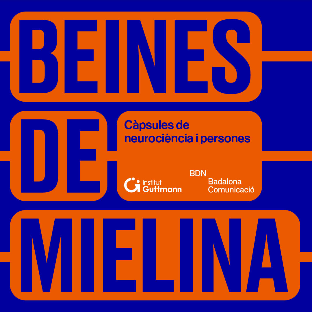 Beines de Mielina