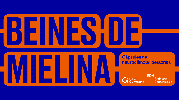 beines_de_mielina