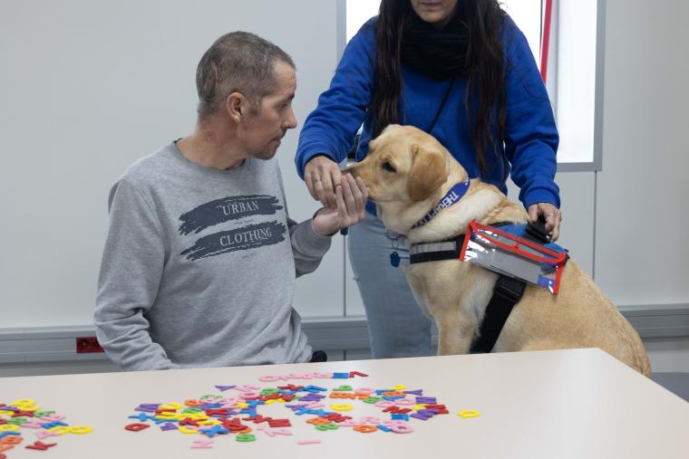 We start dog-assisted therapy at the Institut Guttmann