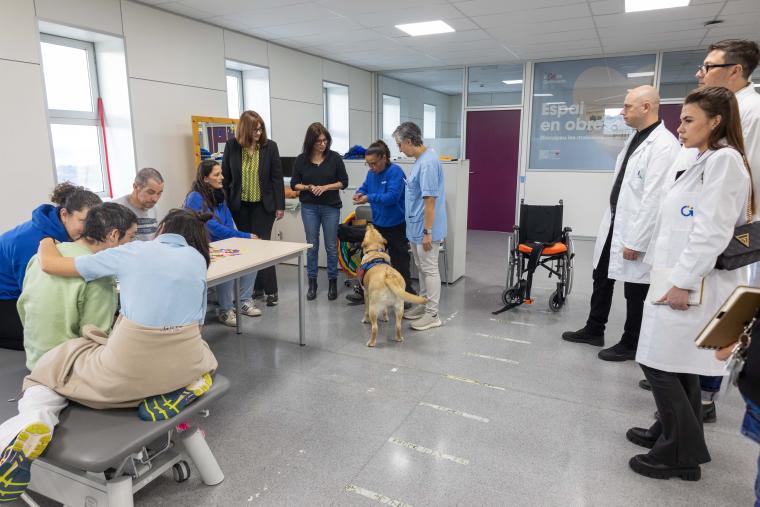 Terapia asistida con perros para los pacientes con amnesia post traumática y mínima respuesta