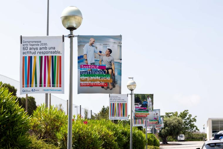 Celebrem el dia Mundial del Medi Ambient