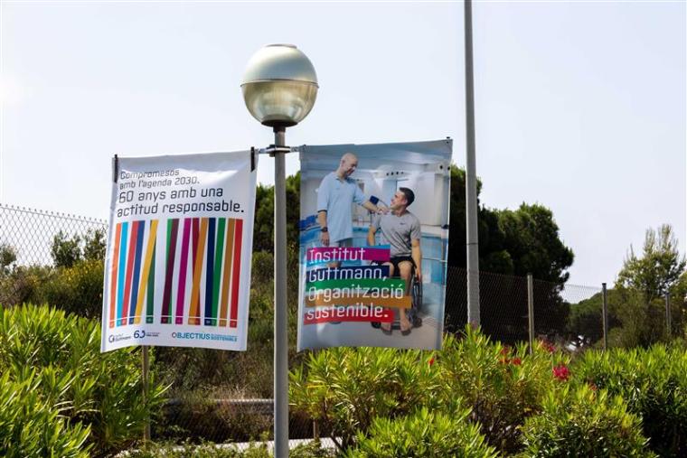 Celebrem el dia Mundial del Medi Ambient