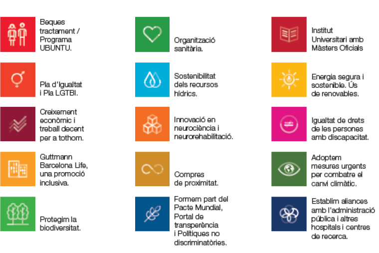 Dia Mundial del Medi Ambient