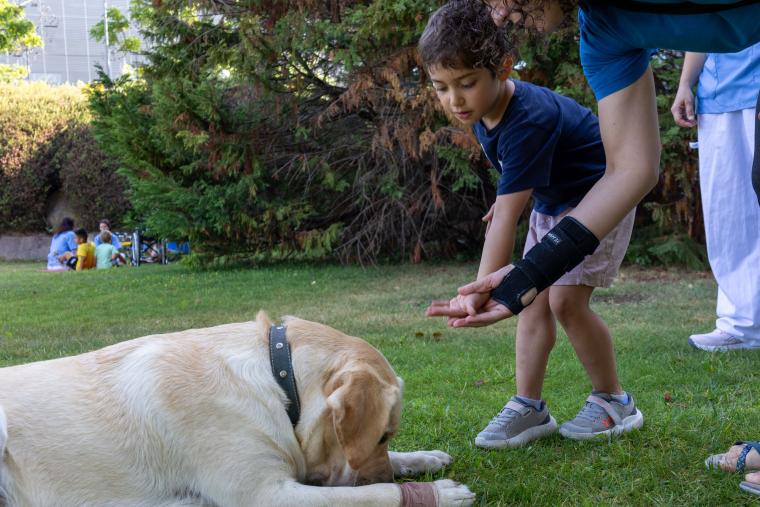 Elanco, the company that has brought Zen to the lives of our patients