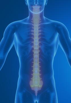 Spinal cord injury
