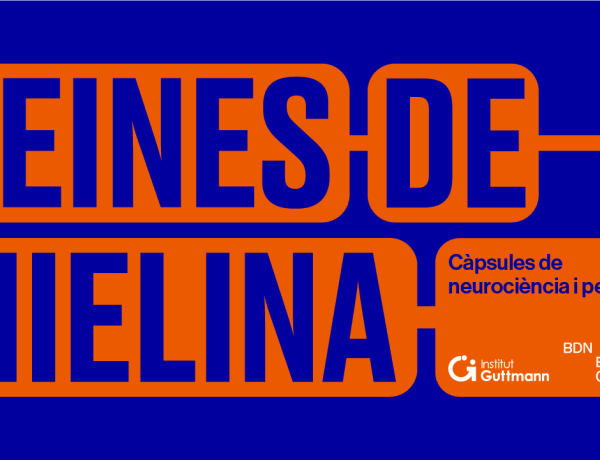 beines de mielina