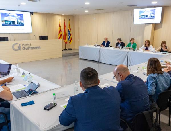 reunió de la comissió de seguretat viària del congres diputats