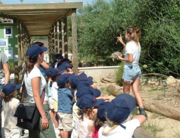 Conocemos el Centro de Recuperación de Anfibios y Reptiles