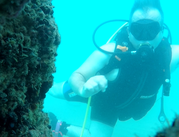 Bautizo de buceo en mar abierto