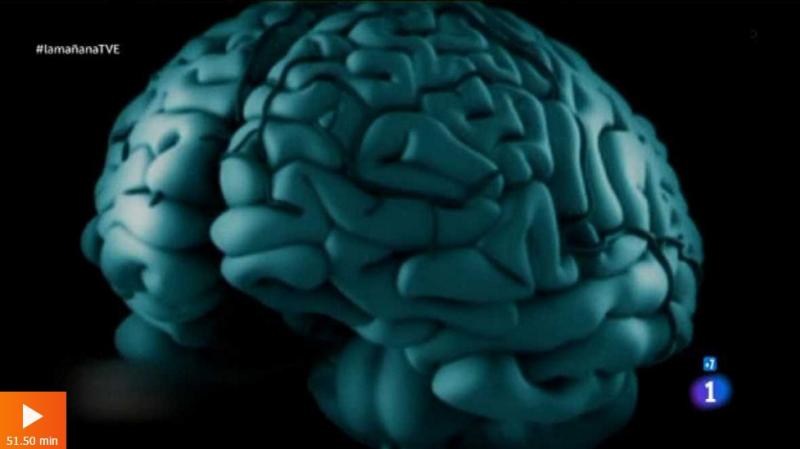 cerebro.jpg Noticias Institut Guttmann - El programa “Saber vivir” de Televisión Española realizó un monográfico sobre “Los sentimientos del cerebro”