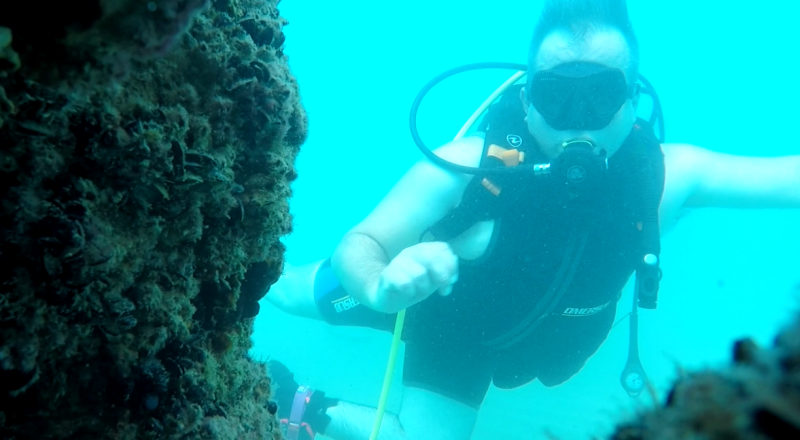scuba63.png scuba63.png